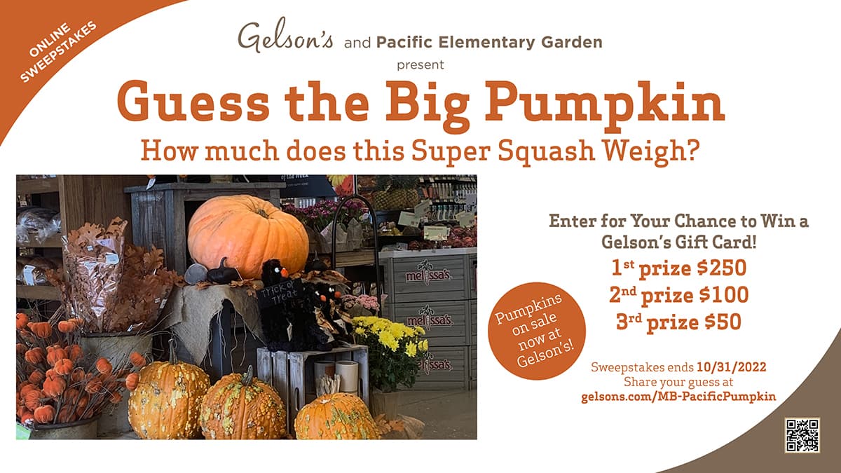 Gourmet & Specialty Grocery Store In Manhattan Beach, CA Gelson's