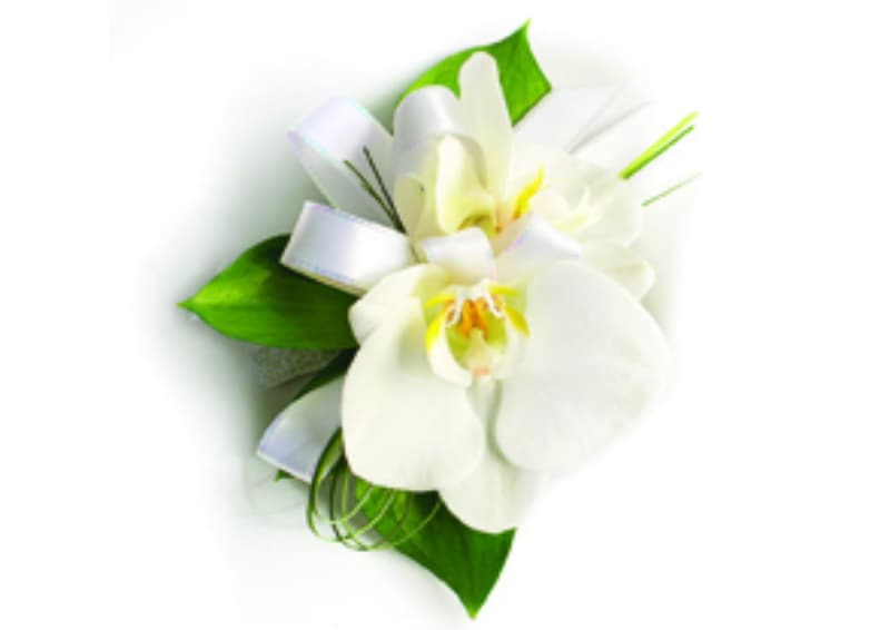 Delicacy Dream Corsage
