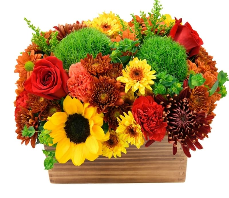 TG Centerpiece