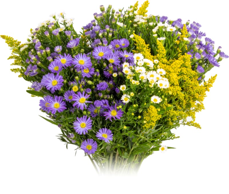 Wildflower Bunch no vase 2