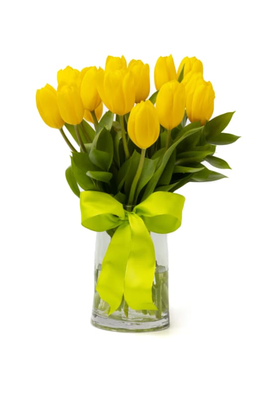 Yellow Tulips