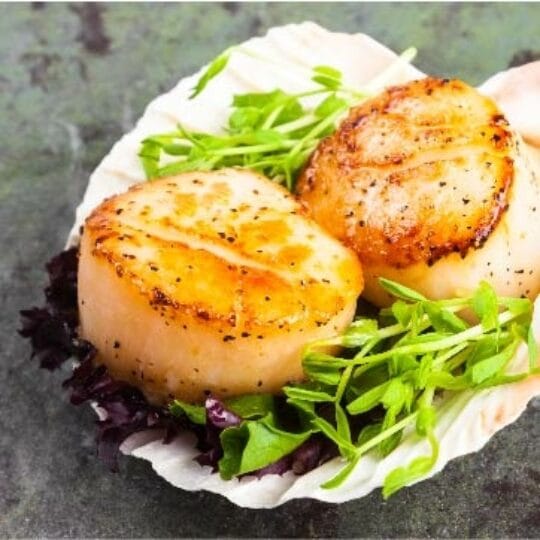 Scallops with Rainbow Chard