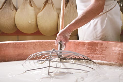 Making Italian Cheese by stirring dairy