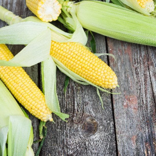 Naked Corn on the Cob