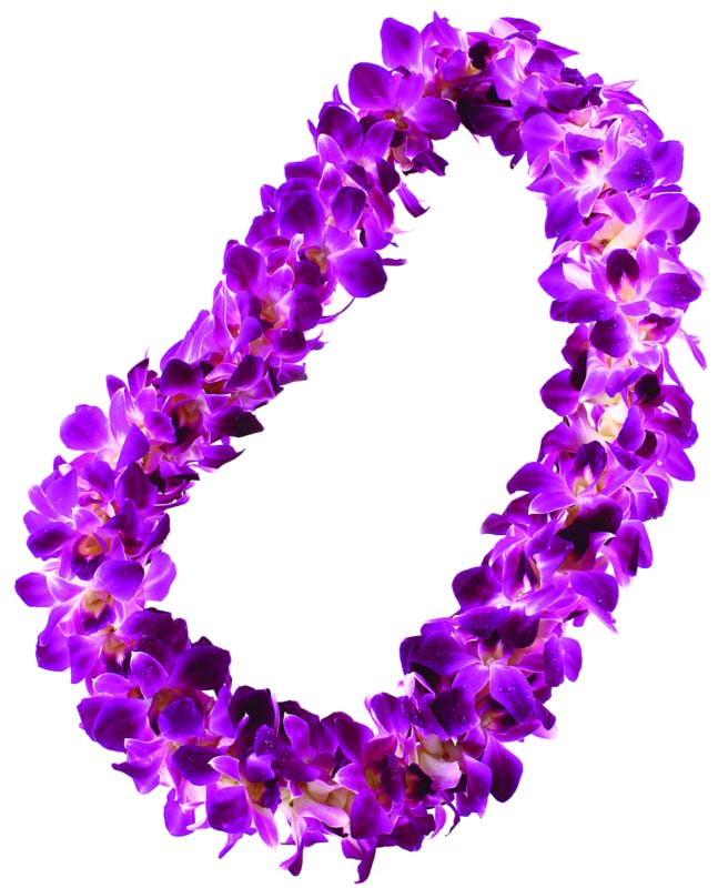 Orchid Lei 2