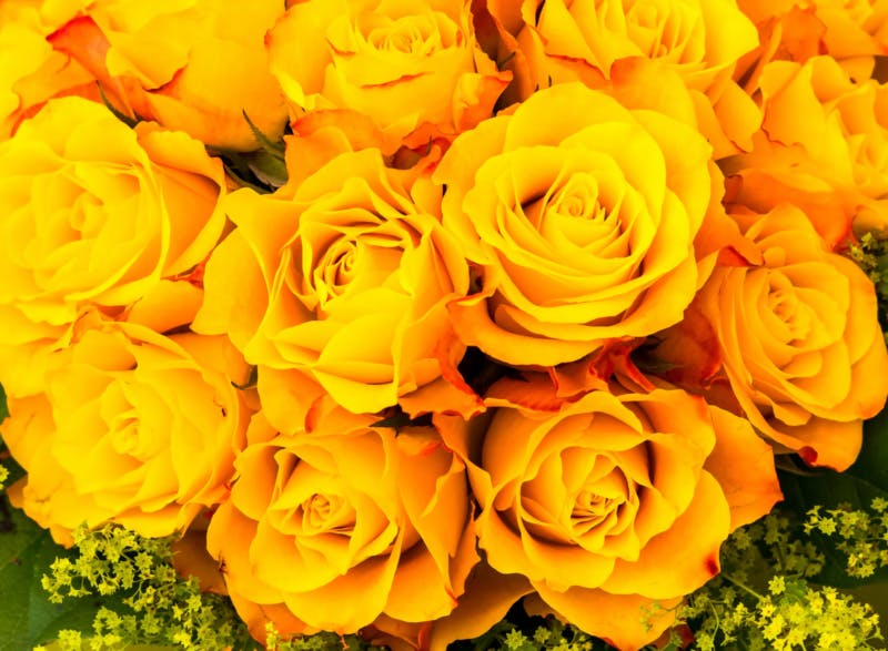 Yellow Roses Bouqet