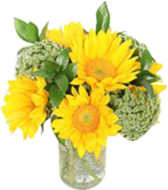 Sunflower sunny jar copy whitebg crop 002