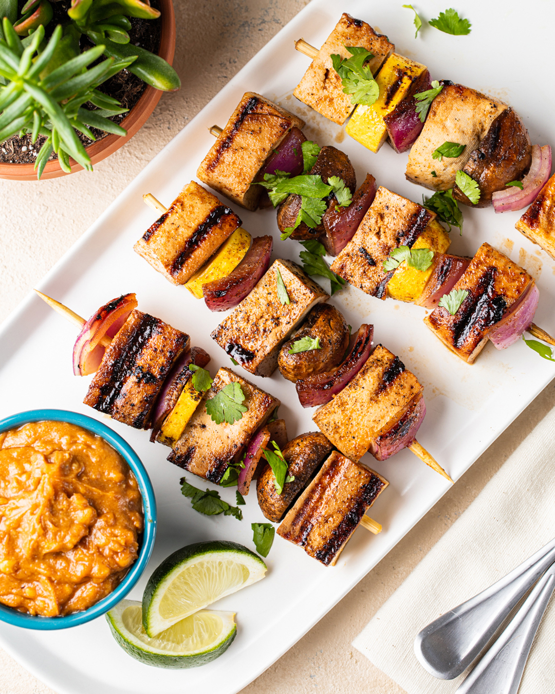 Grilled Tofu Kebabs with Peanut Sauce